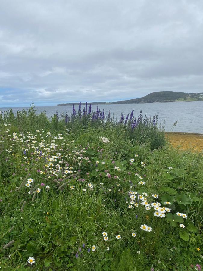 Rocky Harbour Oceanfront Villa Eksteriør bilde